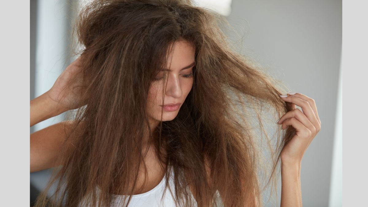 The Ultimate Guide to Repair Chemically Damaged Hair